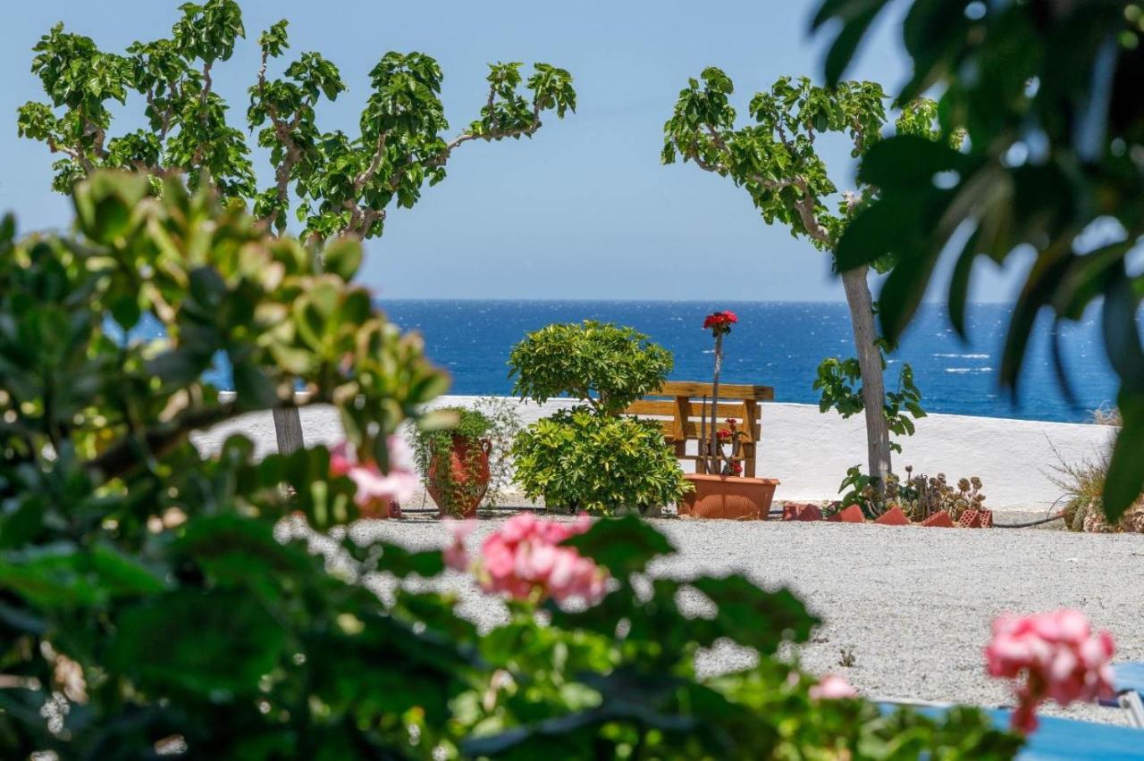 Creta Sun موخلوس المظهر الخارجي الصورة